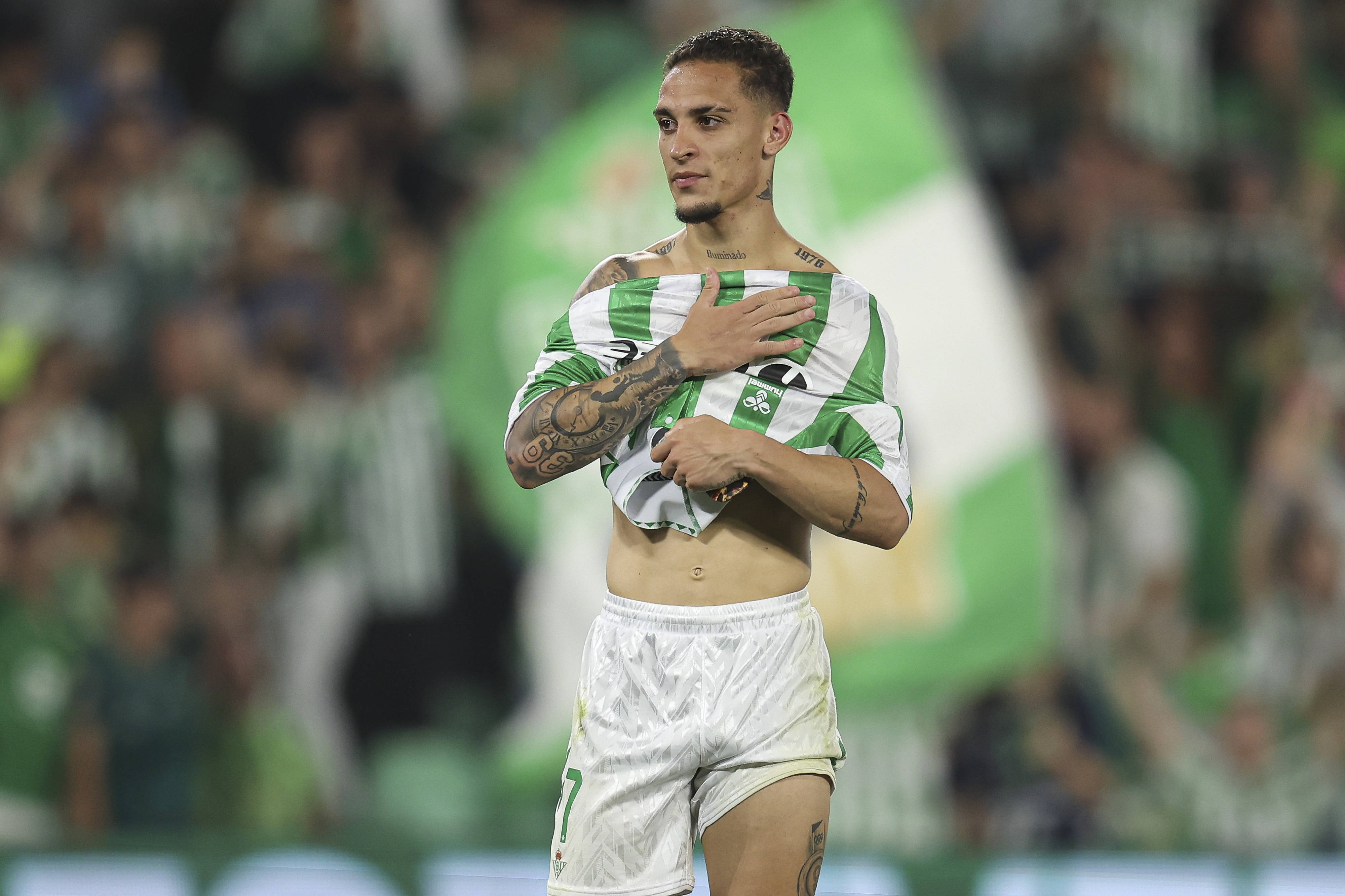 球迷一起庆 球迷一起庆