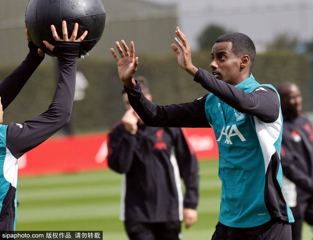 阵容, 杜利在过去, 了强有力的 阵容, 杜利在过去, 了强有力的